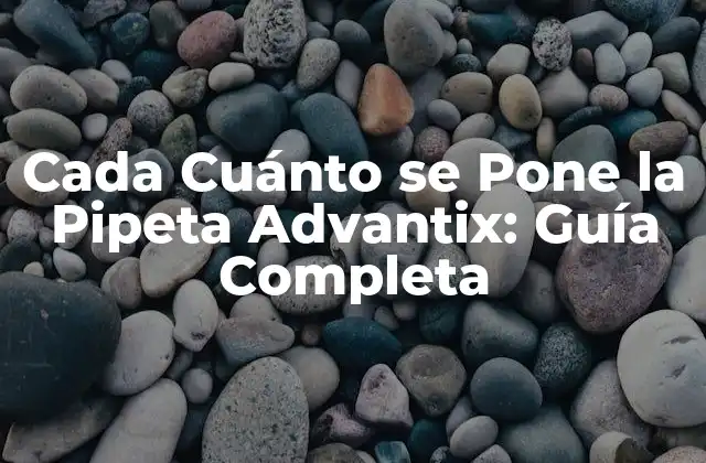 Cada Cuánto Se Pone la Pipeta Advantix: Guía Completa