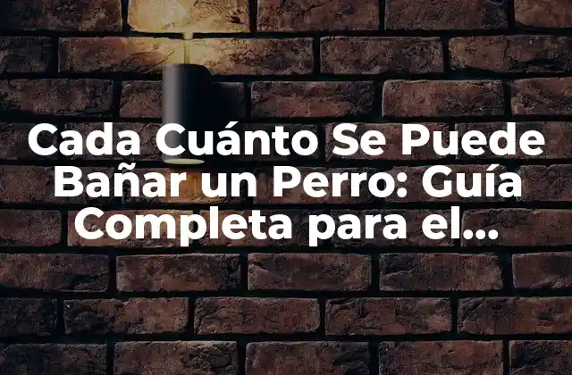Cada Cuánto Se Puede Bañar un Perro: Guía Completa para el Cuidado de la Higiene Canina