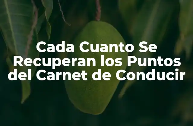 Cada Cuanto Se Recuperan los Puntos Del Carnet de Conducir