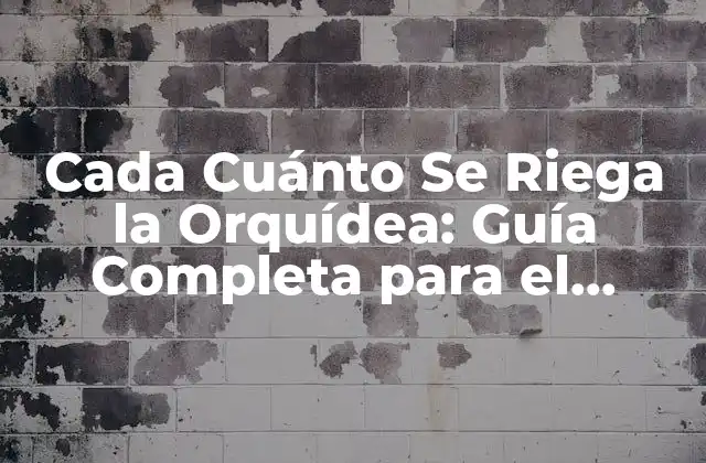 Cada Cuánto Se Riega la Orquídea: Guía Completa para el Cuidado de Orquídeas