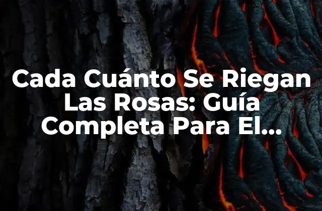 Importancia del Riego en el Crecimiento de las Rosas