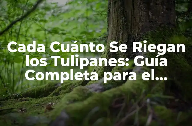 Cada Cuánto Se Riegan los Tulipanes: Guía Completa para el Cuidado de Tulipanes