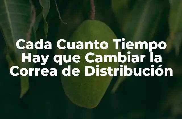 Funcionamiento de la Correa de Distribución