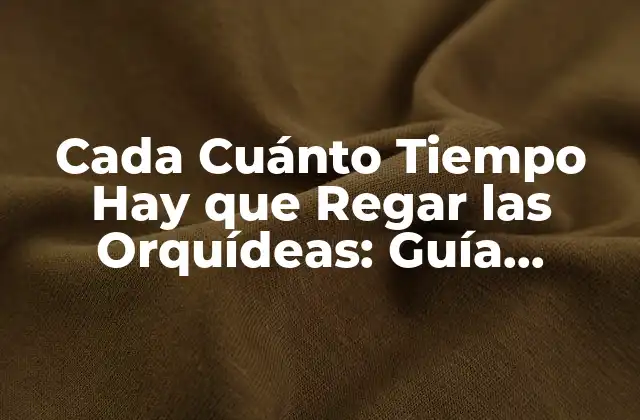 Cada Cuánto Tiempo Hay que Regar las Orquídeas: Guía Completa