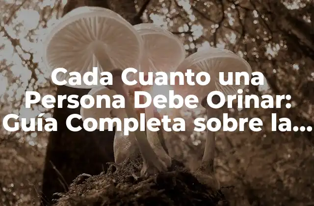 Cada Cuanto una Persona Debe Orinar: Guía Completa sobre la Frecuencia de Micción