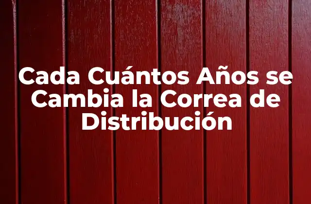 Cada Cuántos Años Se Cambia la Correa de Distribución