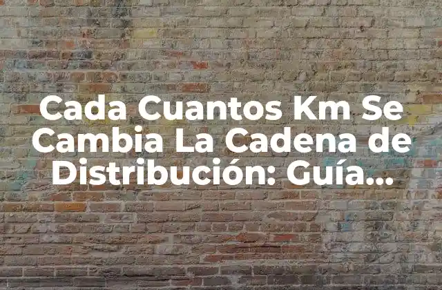 Cada Cuantos Km Se Cambia la Cadena de Distribución: Guía Completa