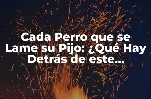 Cada Perro que Se Lame Su Pijo: ¿qué Hay Detrás de Este Comportamiento Canino? 2 ¿Por Qué los Perros se Lamen su Pijo?