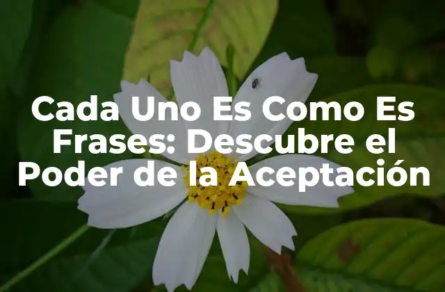 Cada Uno es como es Frases: Descubre el Poder de la Aceptación