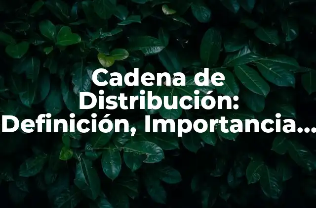 Cadena de Distribución: Definición, Importancia y Estrategias