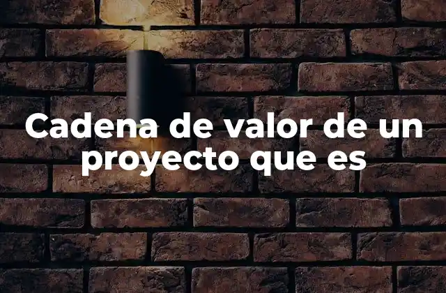Cadena de Valor de un Proyecto que es
