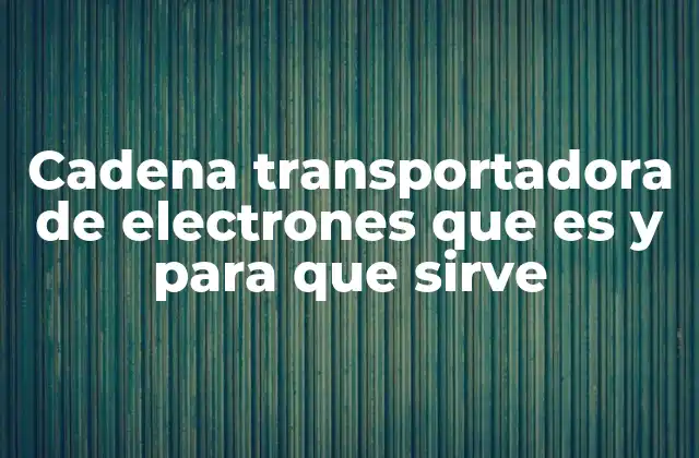Cadena Transportadora de Electrones que es y para que Sirve