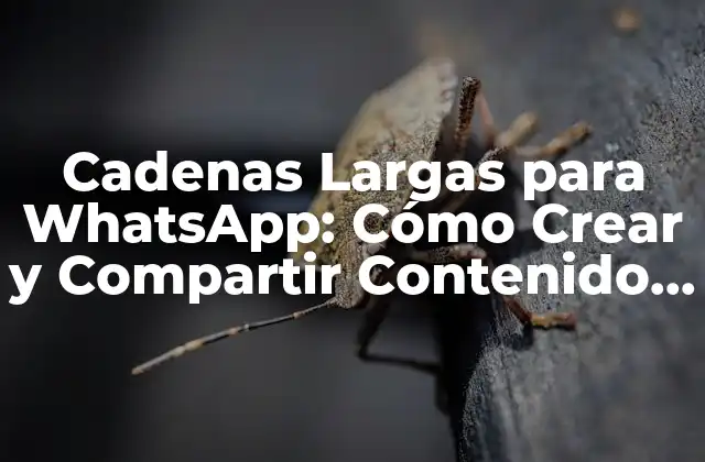 Cadenas Largas para Whatsapp: Cómo Crear y Compartir Contenido Extendido