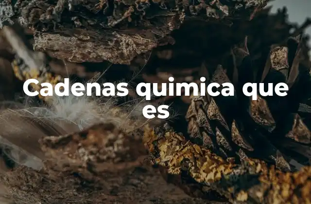 Cadenas Quimica que es