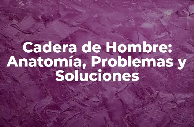 Cadera de Hombre: Anatomía, Problemas y Soluciones 2 Anatomía de la Cadera de Hombre