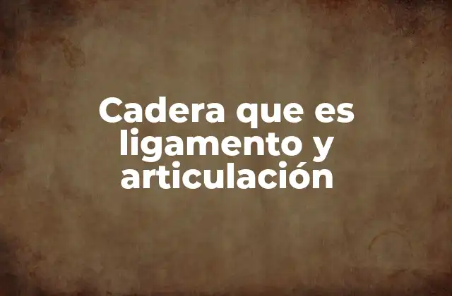 Cadera que es Ligamento y Articulación