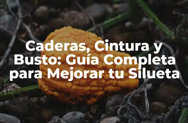 Caderas, Cintura y Busto: Guía Completa para Mejorar Tu Silueta