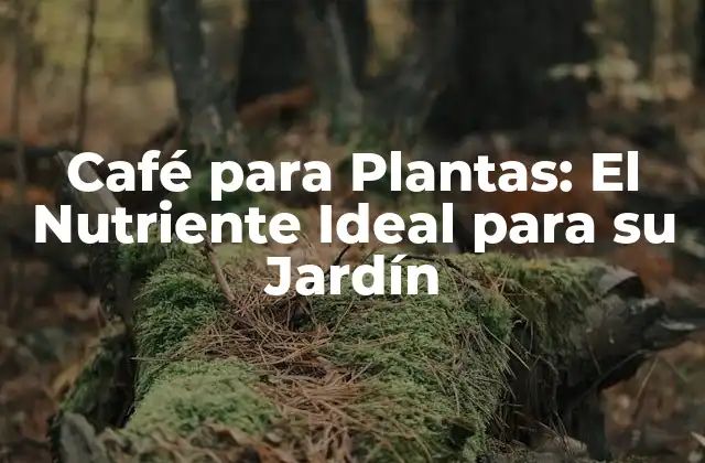 Café para Plantas: el Nutriente Ideal para Su Jardín 2 ¿Qué es el Café para Plantas?