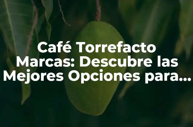 Café Torrefacto Marcas: Descubre las Mejores Opciones para Tu Delicia