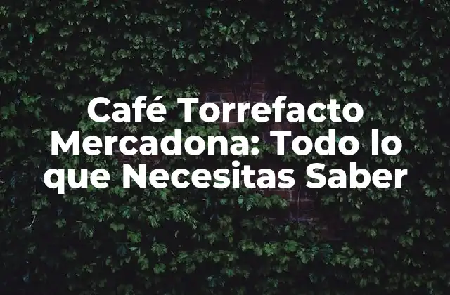 Café Torrefacto Mercadona: Todo Lo que Necesitas Saber