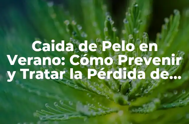 ¿Por qué se Produce la Caída de Pelo en Verano?