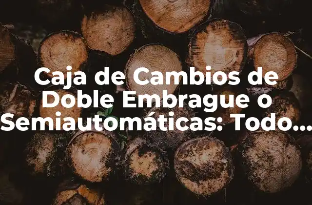 Caja de Cambios de Doble Embrague o Semiautomáticas: Todo Lo que Necesitas Saber