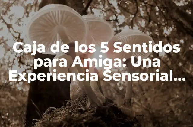 Caja de los 5 Sentidos para Amiga: una Experiencia Sensorial Única