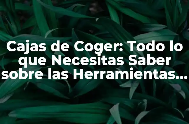Cajas de Coger: Todo Lo que Necesitas Saber sobre las Herramientas Esenciales