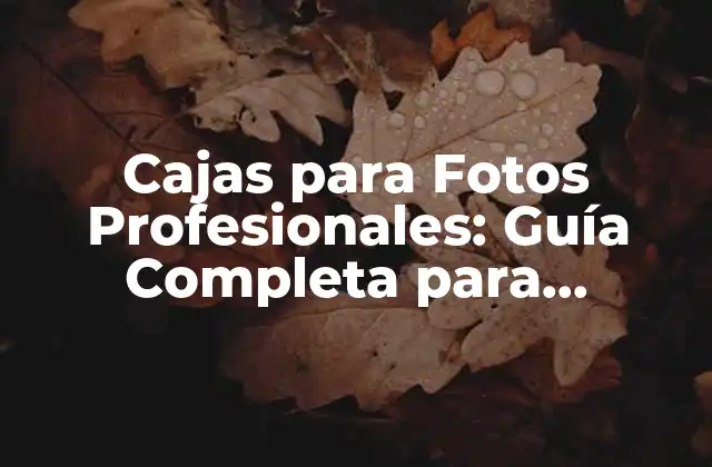 Cajas para Fotos Profesionales: Guía Completa para Conservar Tus Recuerdos