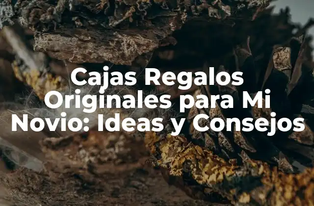 Cajas Regalos Originales para Mi Novio: Ideas y Consejos