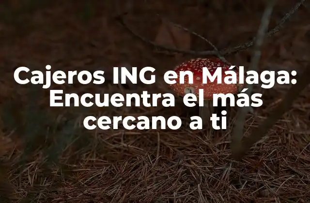 Cajeros Ing en Málaga: Encuentra el Más Cercano a Ti