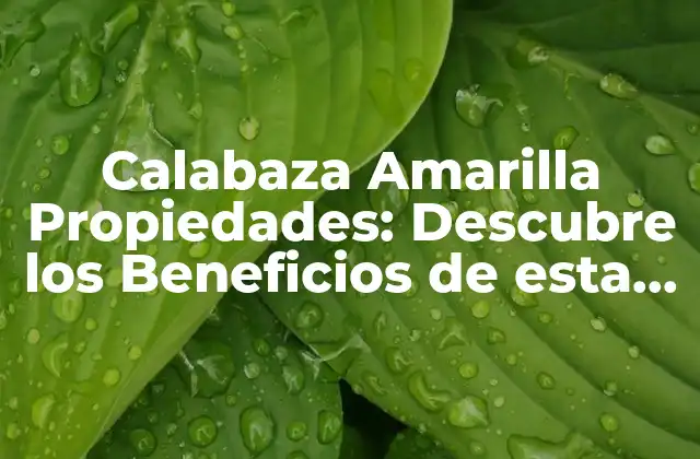 Calabaza Amarilla Propiedades: Descubre los Beneficios de Esta Verdura Nutritiva