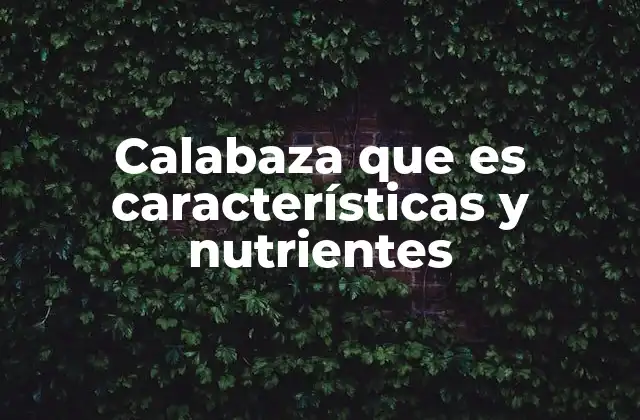 Beneficios de incluir calabaza en la dieta diaria