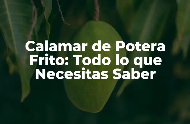 Calamar de Potera Frito: Todo Lo que Necesitas Saber