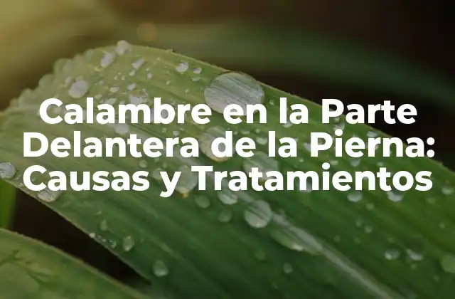Calambre en la Parte Delantera de la Pierna: Causas y Tratamientos