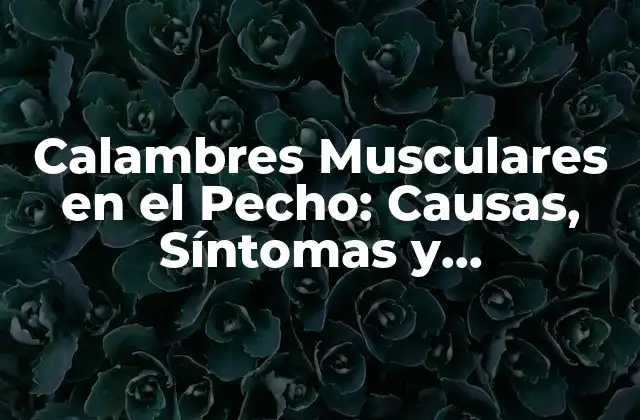 Calambres Musculares en el Pecho: Causas, Síntomas y Tratamiento
