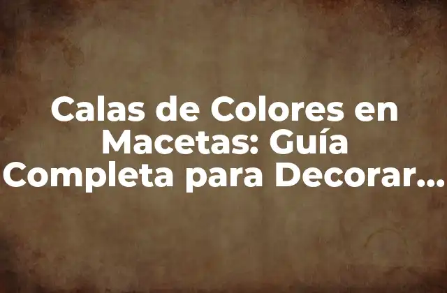 Calas de Colores en Macetas: Guía Completa para Decorar Tu Hogar