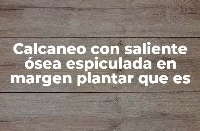 Calcaneo con Saliente Ósea Espiculada en Margen Plantar que es 2 Cómo se manifiesta esta condición en la anatomía del pie