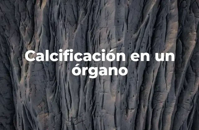 Calcificación en un Órgano