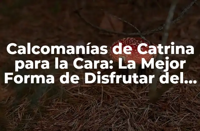Calcomanías de Catrina para la Cara: la Mejor Forma de Disfrutar Del Día de Muertos