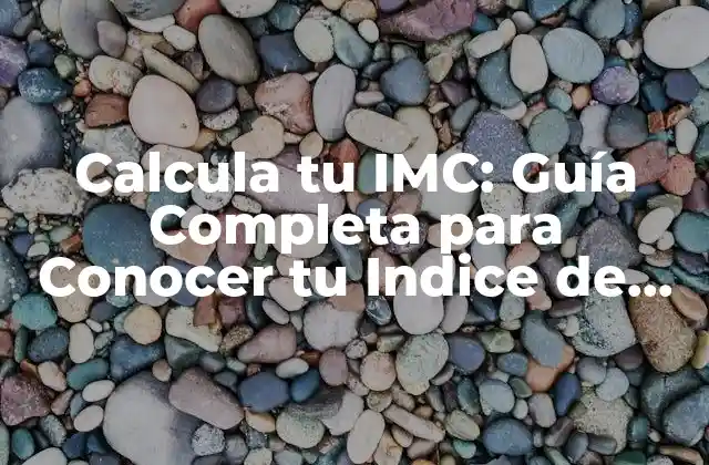 Calcula Tu Imc: Guía Completa para Conocer Tu Indice de Masa Corporal