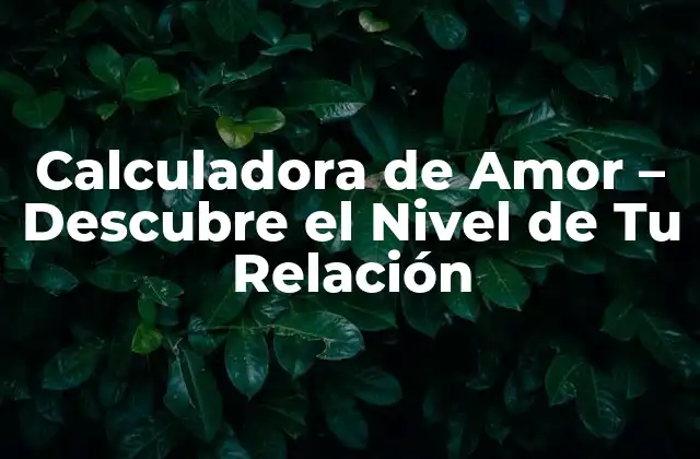 Calculadora de Amor – Descubre el Nivel de Tu Relación