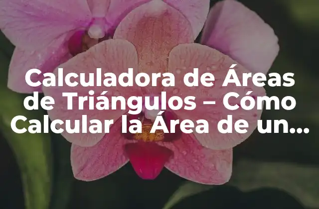 Calculadora de Áreas de Triángulos - Cómo Calcular la Área de un Triángulo 2 ¿Qué es el Área de un Triángulo?