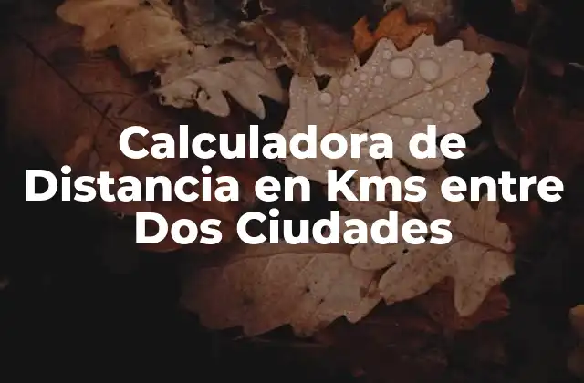 ¿Qué es la Distancia en Kms?