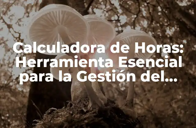 Calculadora de Horas: Herramienta Esencial para la Gestión Del Tiempo