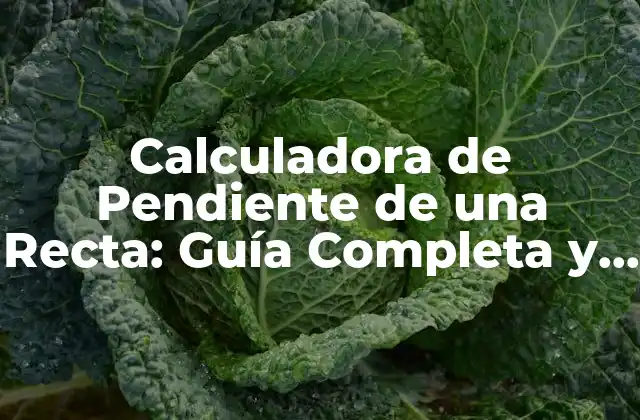 Calculadora de Pendiente de una Recta: Guía Completa y Detallada