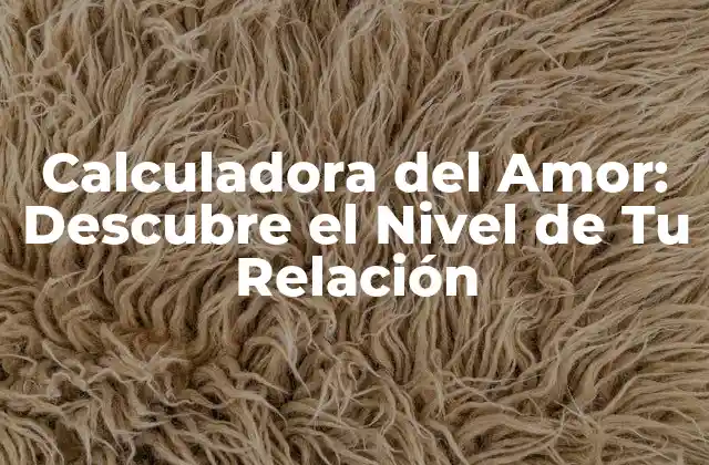 Calculadora Del Amor: Descubre el Nivel de Tu Relación