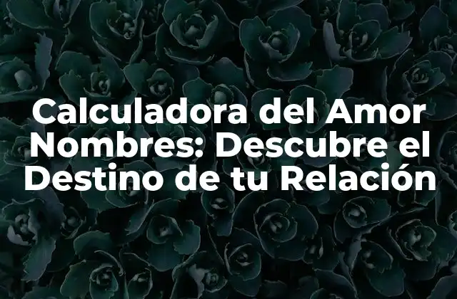 Calculadora Del Amor Nombres: Descubre el Destino de Tu Relación
