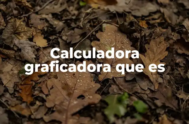 Calculadora Graficadora que es