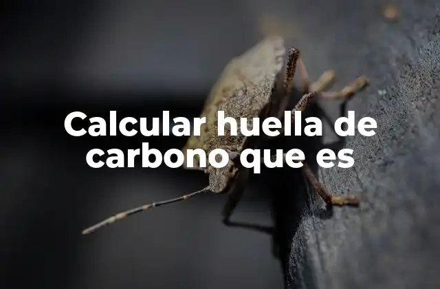 Calcular Huella de Carbono que es